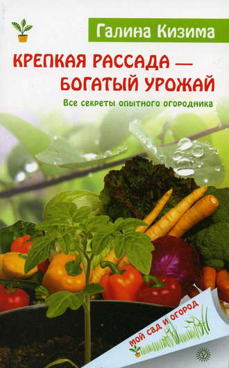 . Крепкая рассада – богатый урожай. Все секреты опытного огородника