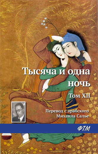 . Тысяча и одна ночь. Том XII