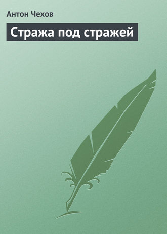 . Стража под стражей