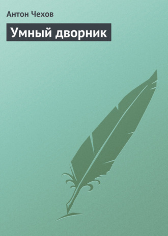 . Умный дворник