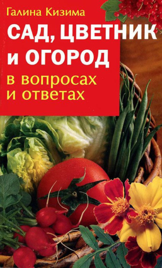 Галина Кизима. Сад, цветник и огород в вопросах и ответах