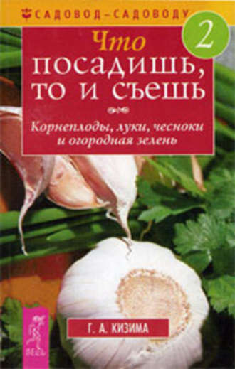 . Что посадишь, то и съешь. Часть 2. Корнеплоды, луки, чесноки и огородная зелень