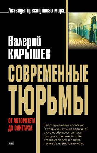 . Современные тюрьмы. От авторитета до олигарха