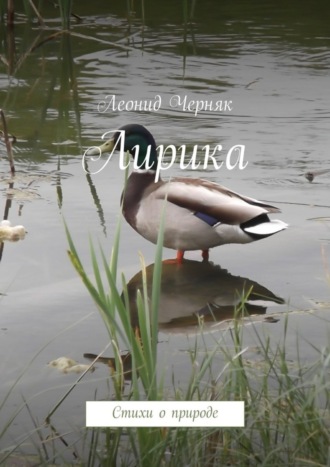 . Лирика. Стихи о природе