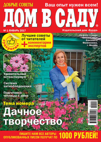 ИД «Бурда». Добрые советы. Дом в саду. №01/2017