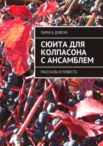 . Сюита для колпасона с ансамблем. Рассказы и повесть