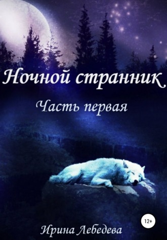 . Ночной странник. Часть первая