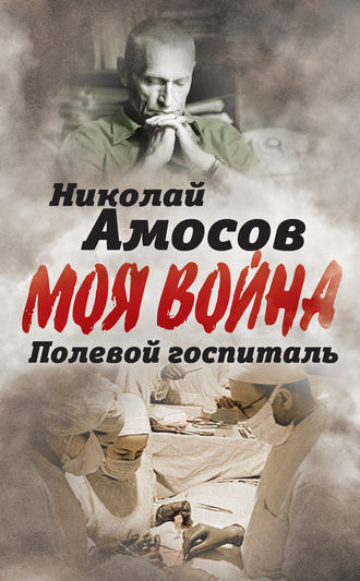 . Полевой госпиталь. Записки военного хирурга