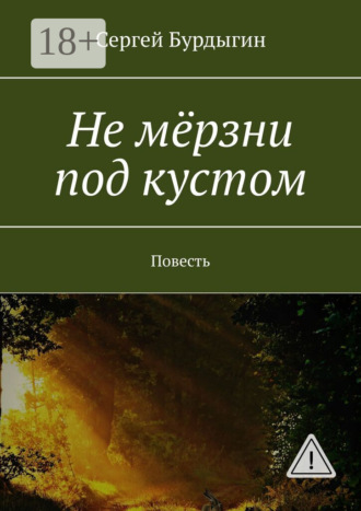 Сергей Бурдыгин. Не мёрзни под кустом. Повесть