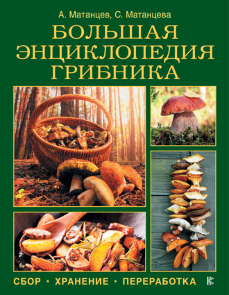 . Большая энциклопедия грибника