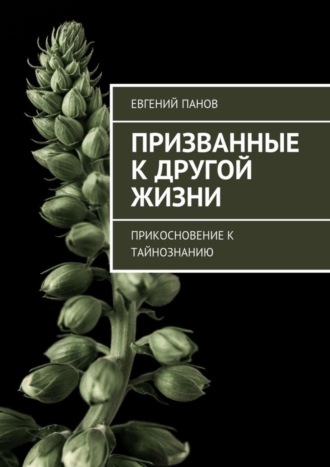 . Призванные к другой жизни. Прикосновение к тайнознанию