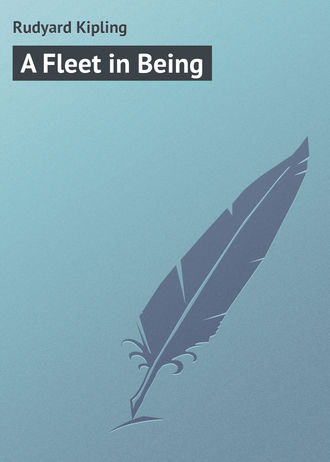 . A Fleet in Being