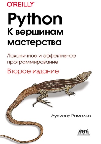 . Python. К вершинам мастерства