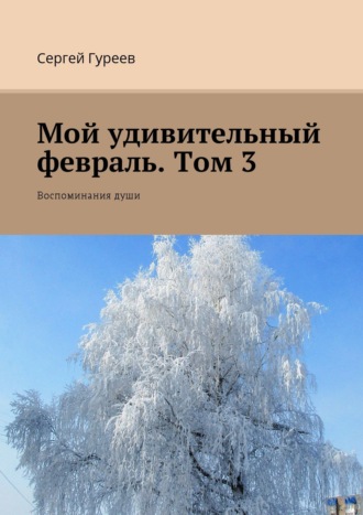 . Мой удивительный февраль. Том 3. Воспоминания души