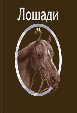 . Лошади