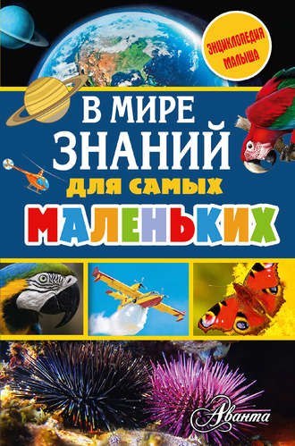 . В мире знаний для самых маленьких
