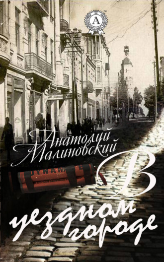 . В уездном городе