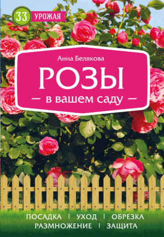 . Розы в вашем саду