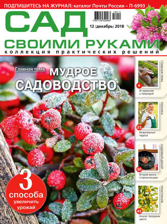 . Сад своими руками №12/2018