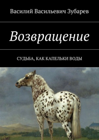 . Возвращение. Судьба, как капельки воды