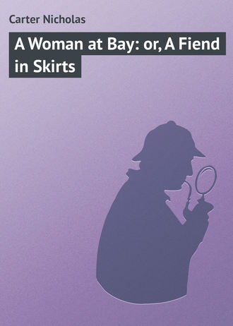 Carter Nicholas. A Woman at Bay: or, A Fiend in Skirts