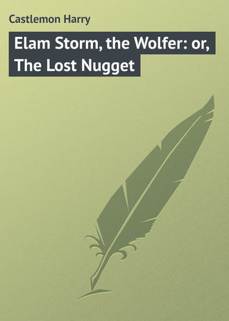 . Elam Storm, the Wolfer: or, The Lost Nugget