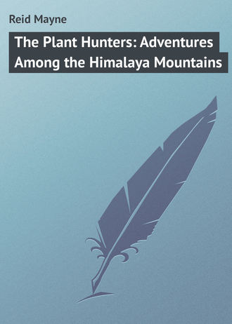 . The Plant Hunters: Adventures Among the Himalaya Mountains