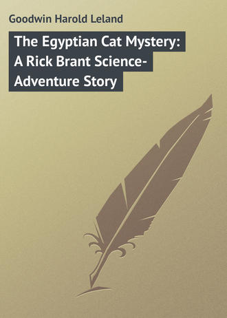 . The Egyptian Cat Mystery: A Rick Brant Science-Adventure Story