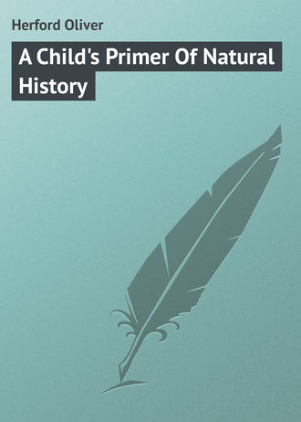 . A Child's Primer Of Natural History
