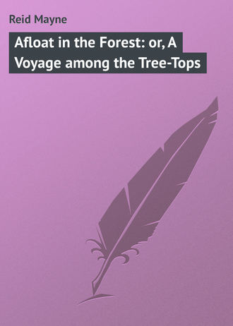 . Afloat in the Forest: or, A Voyage among the Tree-Tops