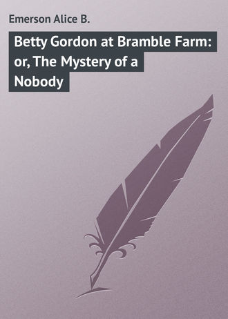 . Betty Gordon at Bramble Farm: or, The Mystery of a Nobody