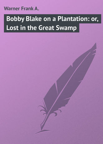 . Bobby Blake on a Plantation: or, Lost in the Great Swamp