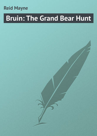 . Bruin: The Grand Bear Hunt