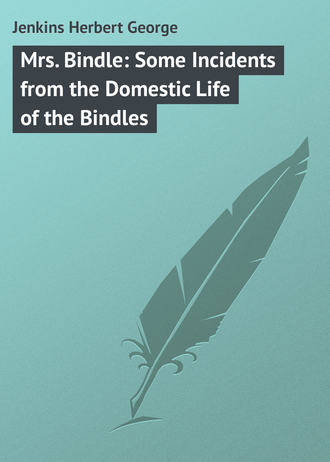 . Mrs. Bindle: Some Incidents from the Domestic Life of the Bindles