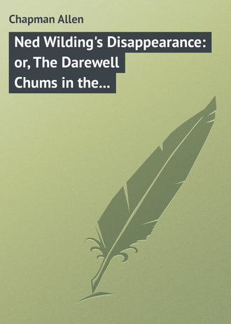. Ned Wilding's Disappearance: or, The Darewell Chums in the City