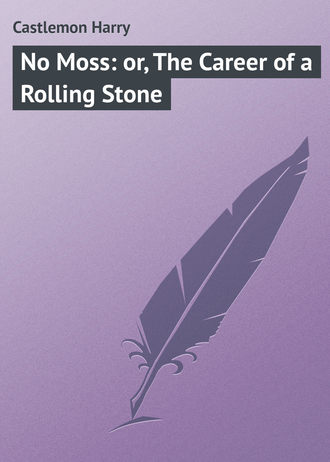 . No Moss: or, The Career of a Rolling Stone