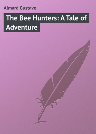 . The Bee Hunters: A Tale of Adventure