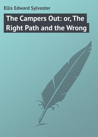 . The Campers Out: or, The Right Path and the Wrong
