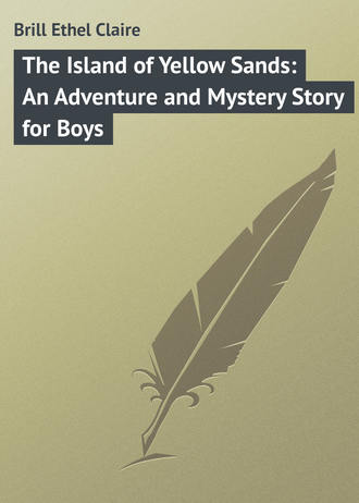 . The Island of Yellow Sands: An Adventure and Mystery Story for Boys