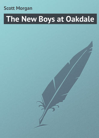 Scott Morgan. The New Boys at Oakdale