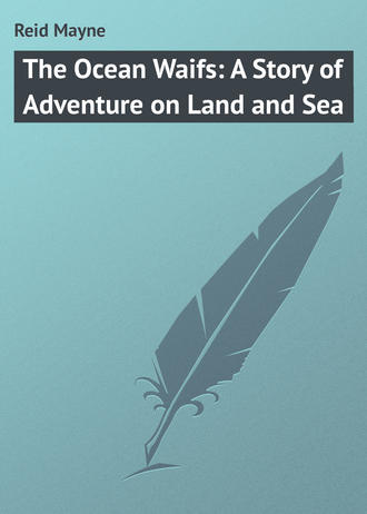 . The Ocean Waifs: A Story of Adventure on Land and Sea