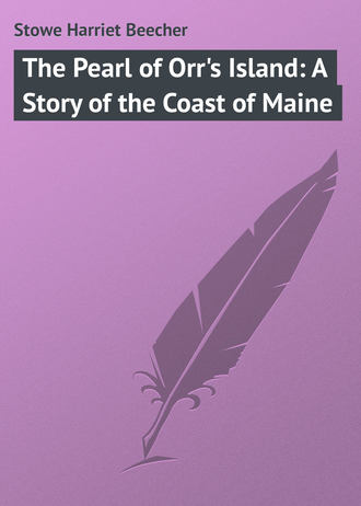 . The Pearl of Orr's Island: A Story of the Coast of Maine