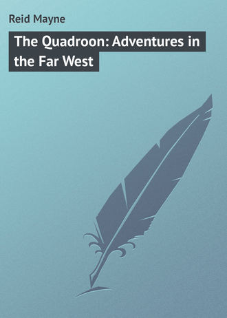. The Quadroon: Adventures in the Far West