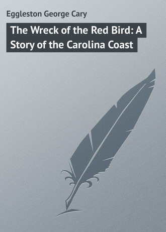 . The Wreck of the Red Bird: A Story of the Carolina Coast
