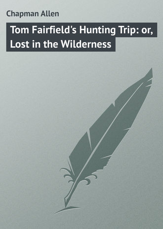 . Tom Fairfield's Hunting Trip: or, Lost in the Wilderness