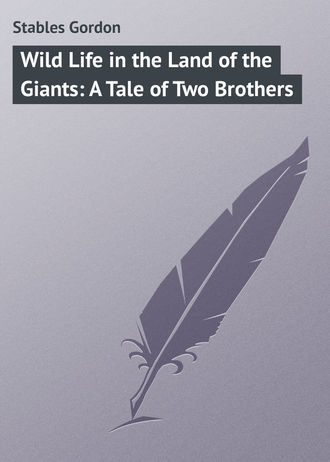 Stables Gordon. Wild Life in the Land of the Giants: A Tale of Two Brothers