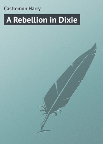 . A Rebellion in Dixie