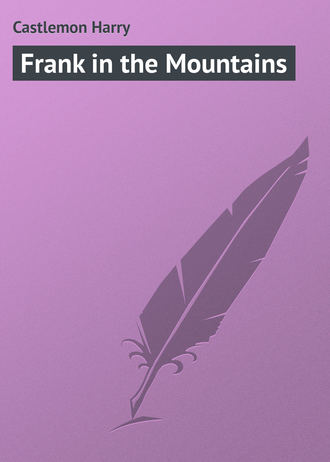 . Frank in the Mountains