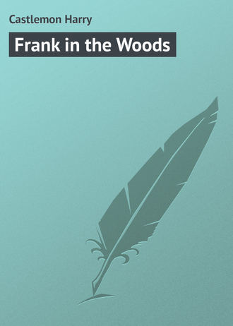 . Frank in the Woods