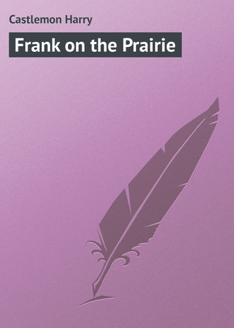 . Frank on the Prairie